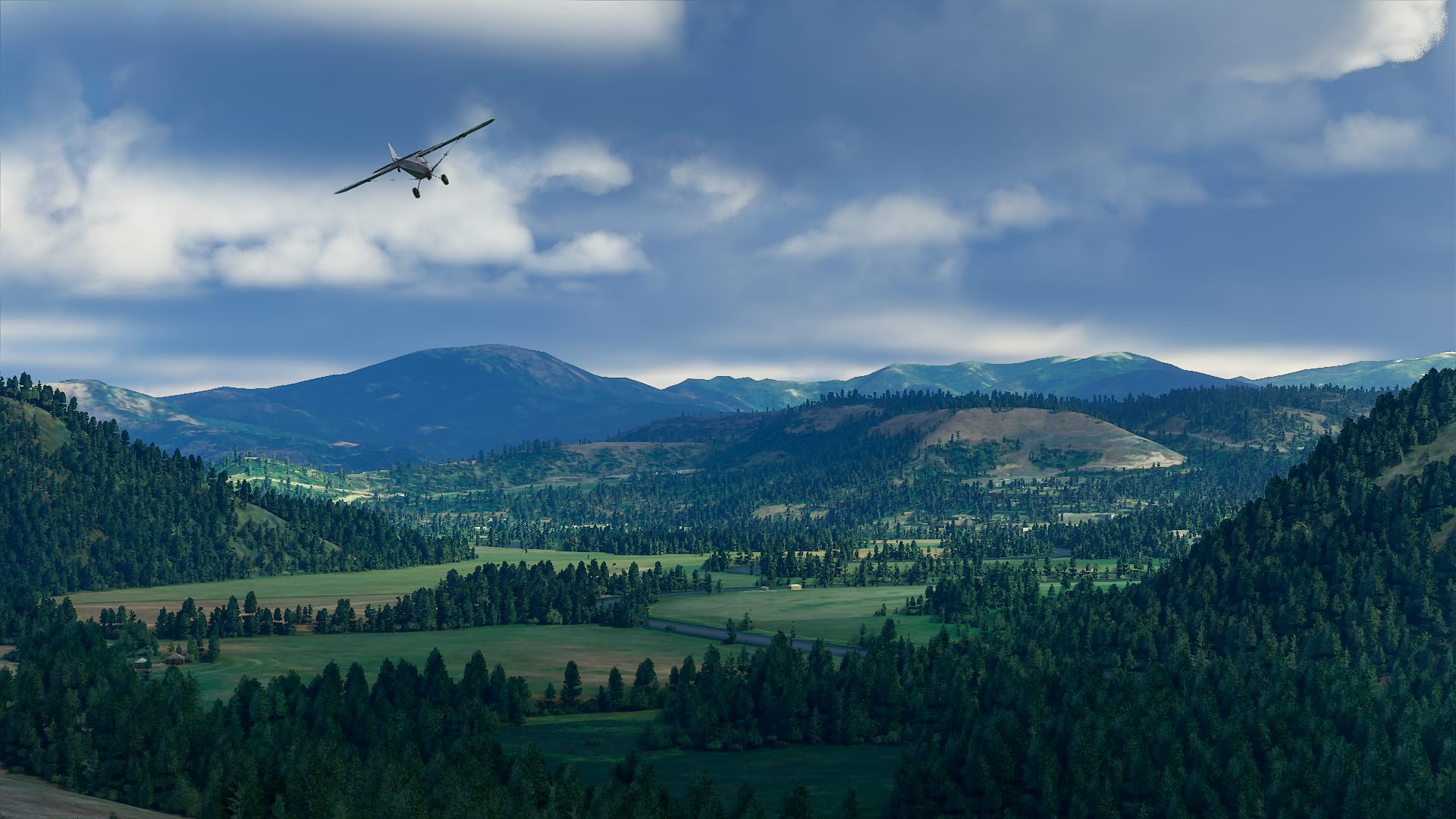 Central, South And North Idaho Bush Trip Bundle - Image 3