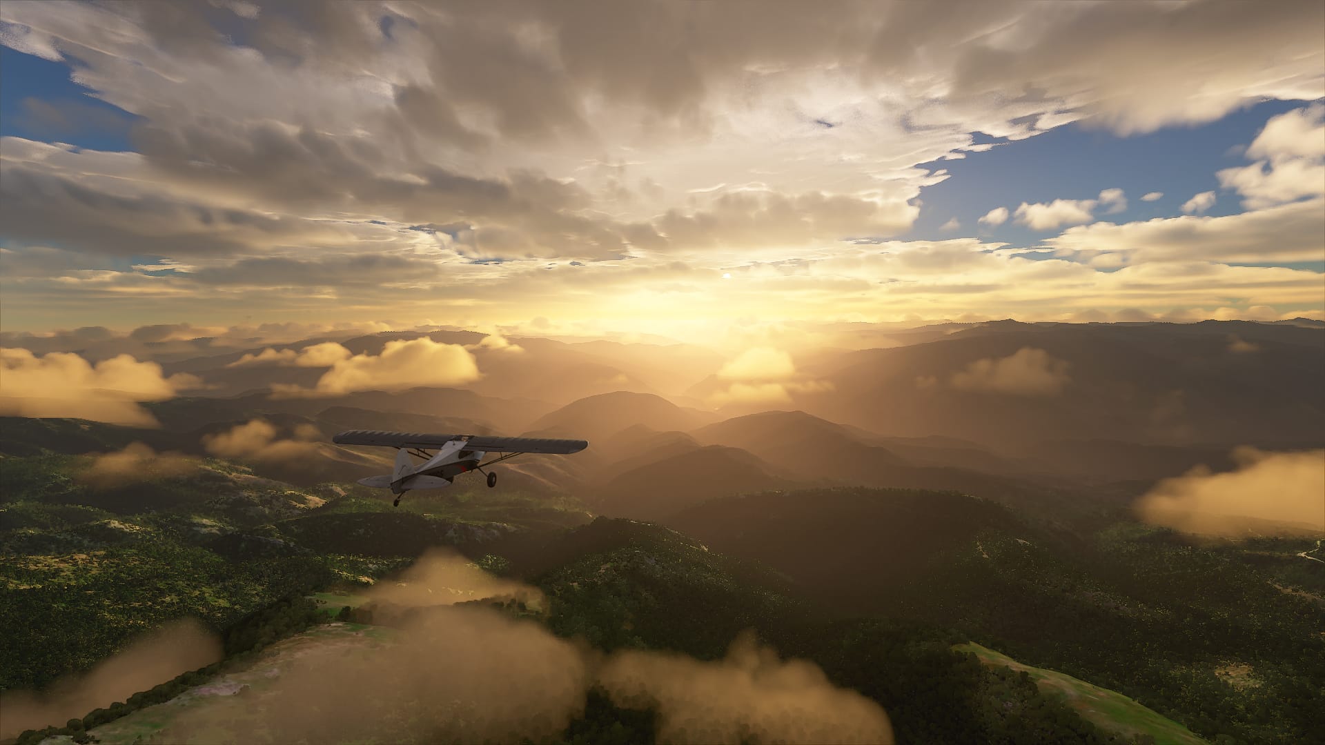 Central, South And North Idaho Bush Trip Bundle - Image 19